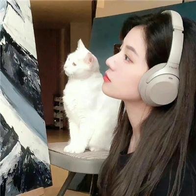 七号公馆 在线观看封面